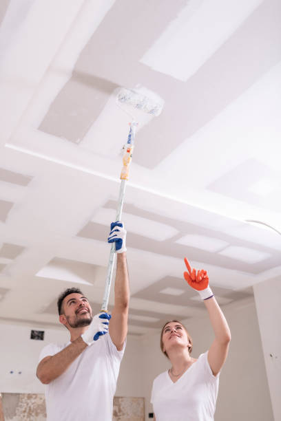 Best Mold Remediation for Vacation Homes  in Fredericktown, OH