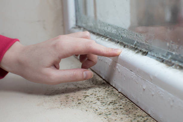 Best Asbestos and Lead Testing During Mold Inspection  in Fredericktown, OH